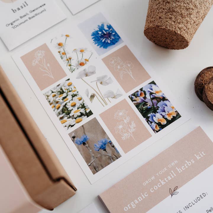 The Little Allotment Company – wholesale Plant seeds – Grow Your Own Cocktail Herbs Kit1