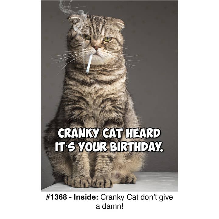 ”Cranky Cat” - Födelsedagskort för wholesale av Magik Missile