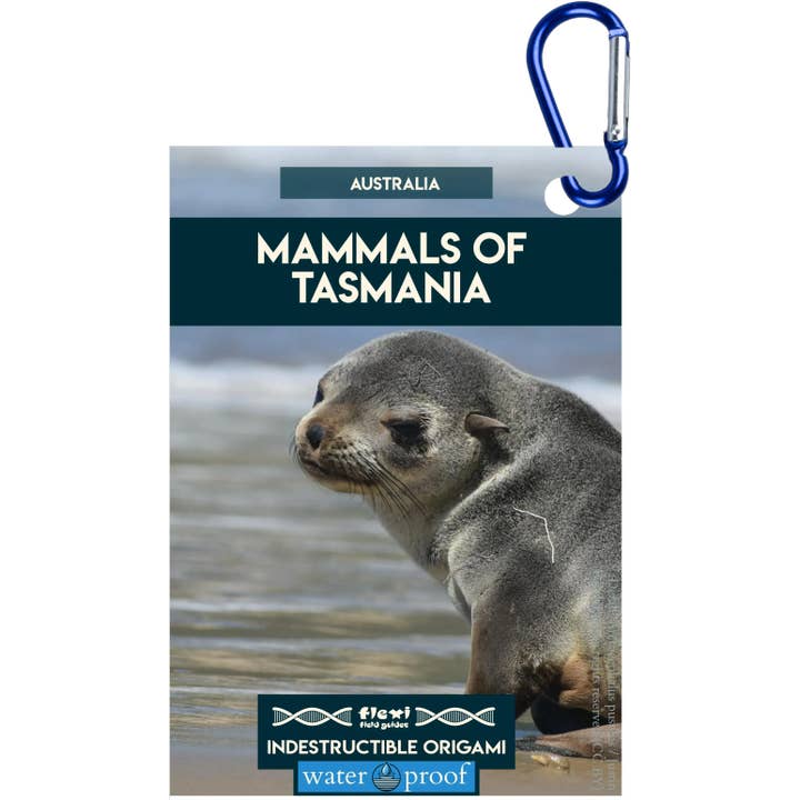 Pattedyr fra Tasmanien-Uforgængelig Origami for engroshandel hos Flexi Field Guides