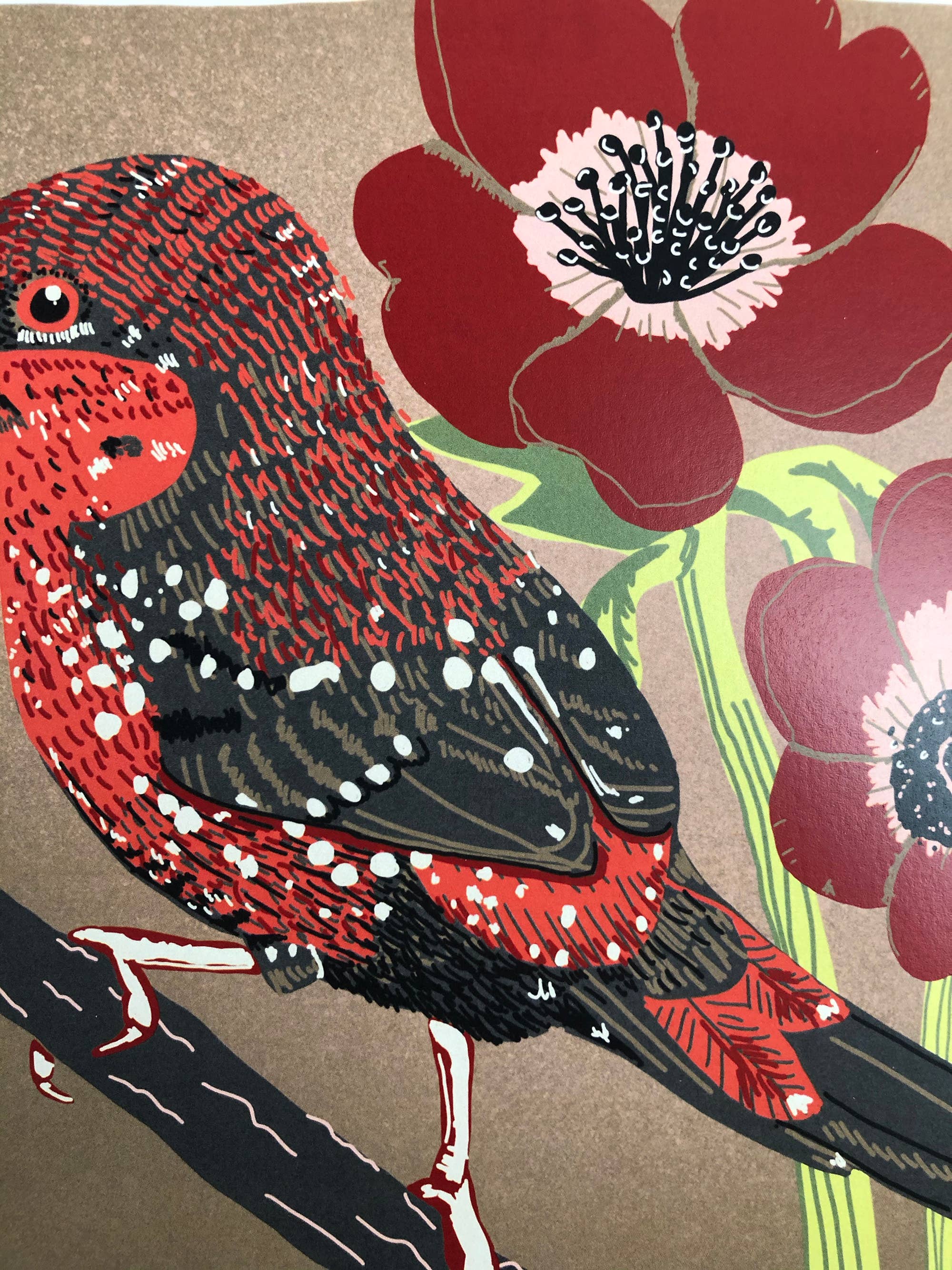 Kate E. Burke - Wholesale Art Print - Bird Series: Red Avadavat 11x14 Digital Print5