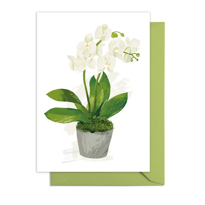 Phalaenopsis orchid 5x7in Greetings card for wholesale by Middle Mouse