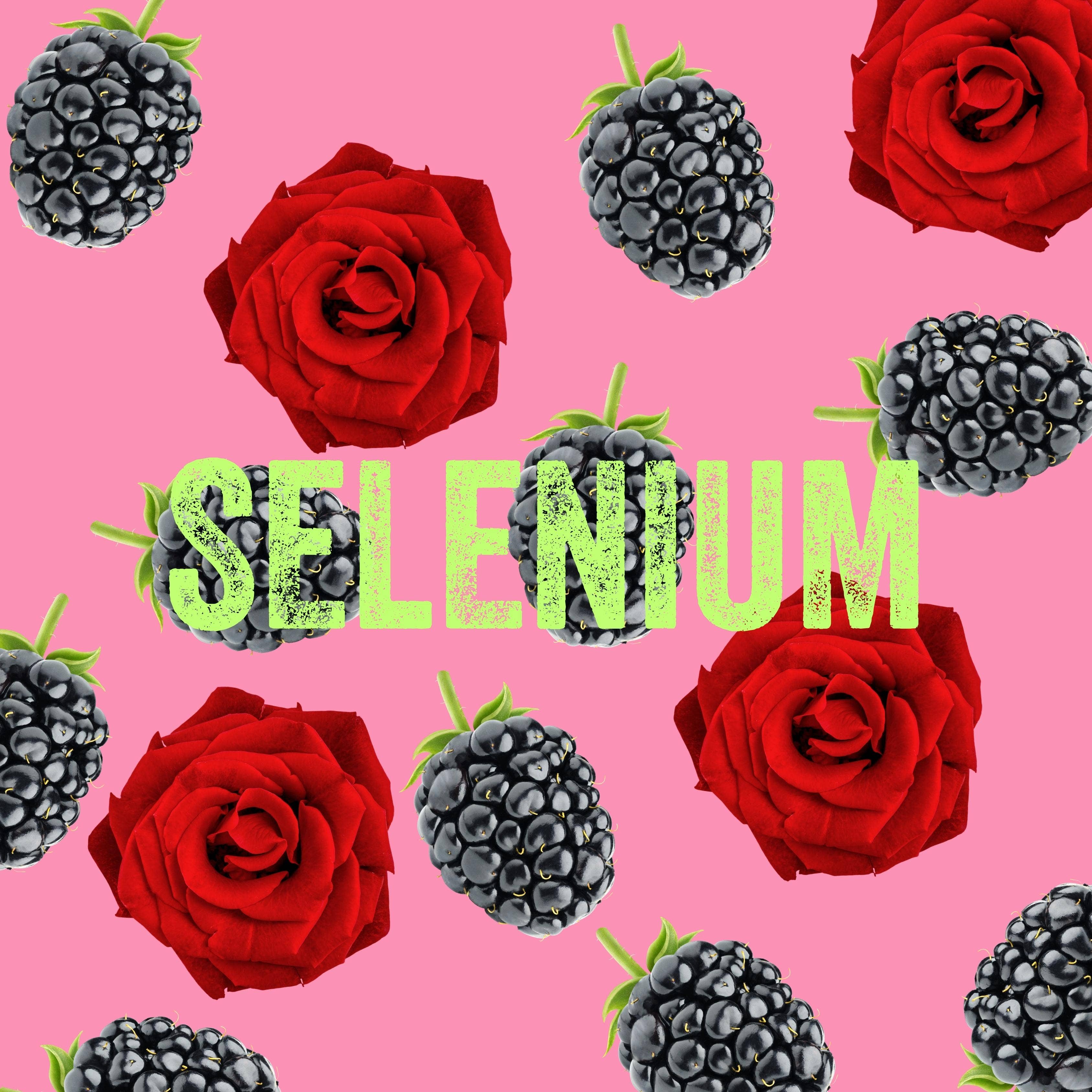 Dr Funk - Vendita all'ingrosso Acqua frizzante - Acqua aromatizzata ai frutti di bosco e rosa con 7 nutrienti essenziali7