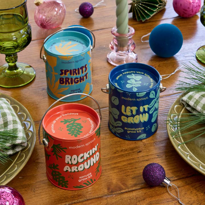 Modern Sprout - Wholesale Plant Seeds - Holiday Complimentary Colors Grow Kits15
