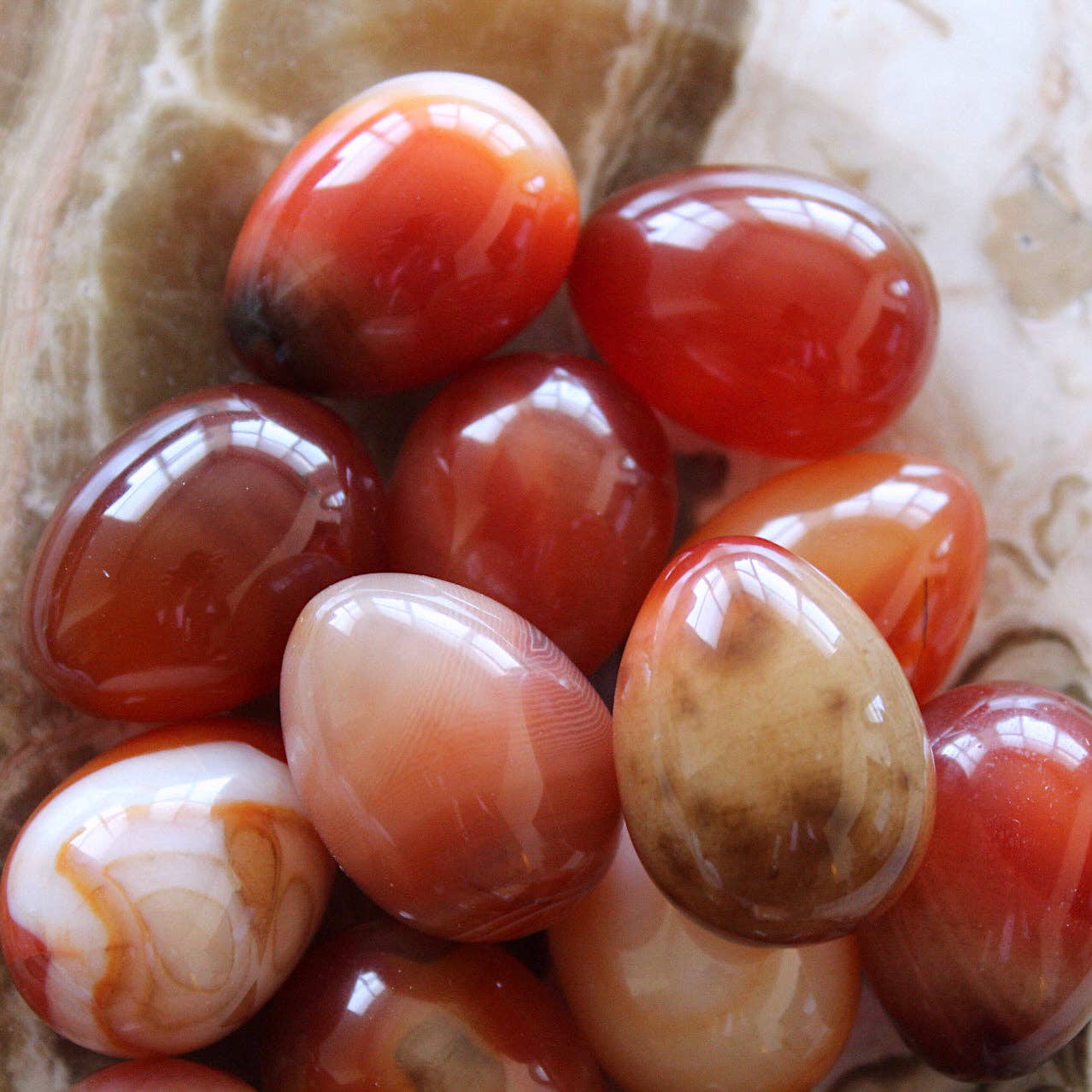 Pebble House - Wholesale Spiritual Stone/Crystal - Carnelian Mini Egg (Crystals & Stones)2