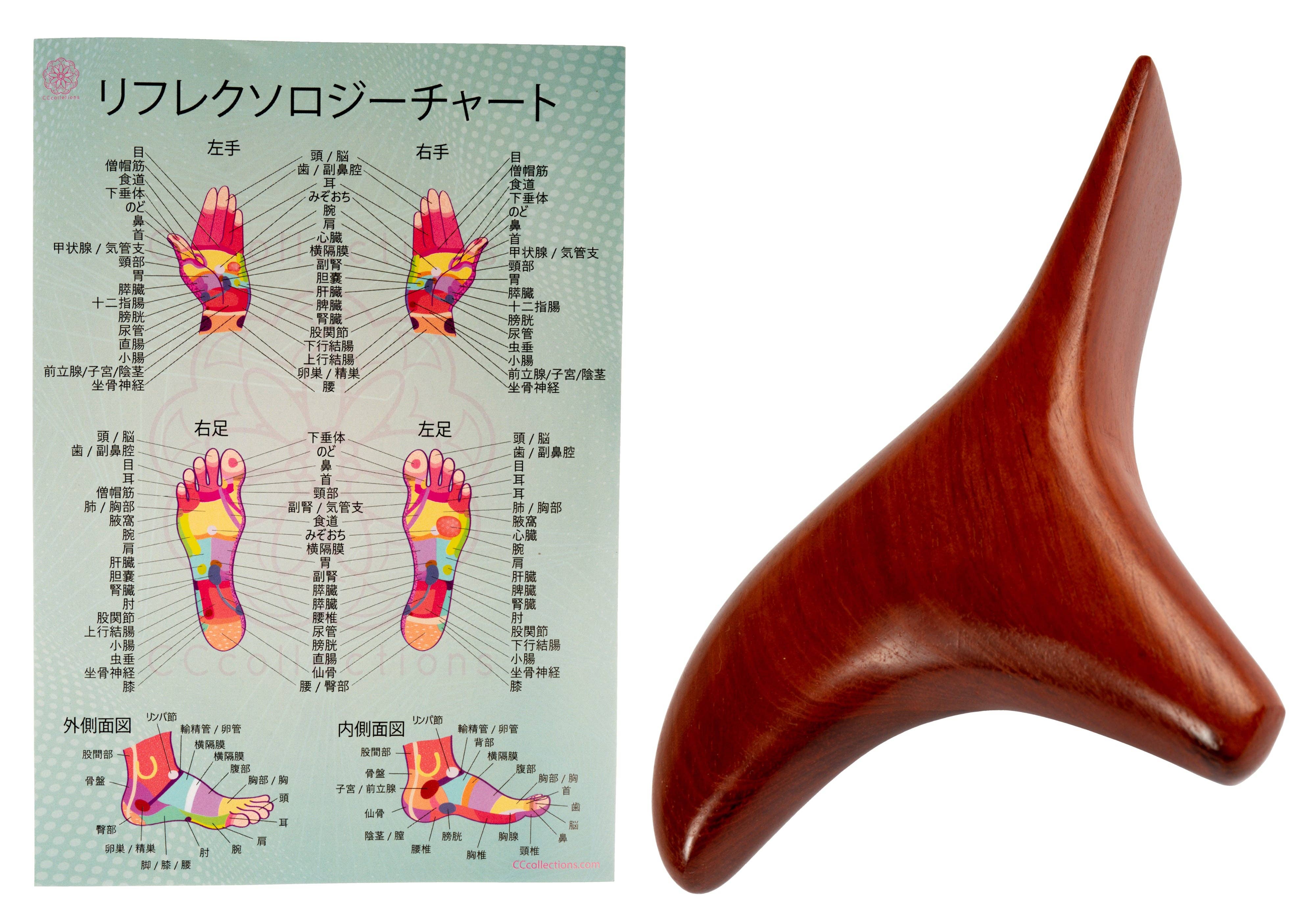 CCcollections – Großhandel Massagegeräte – Professionelles Set aus Holz-Massagewerkzeugen mit Reflexzonen-Diagramm8