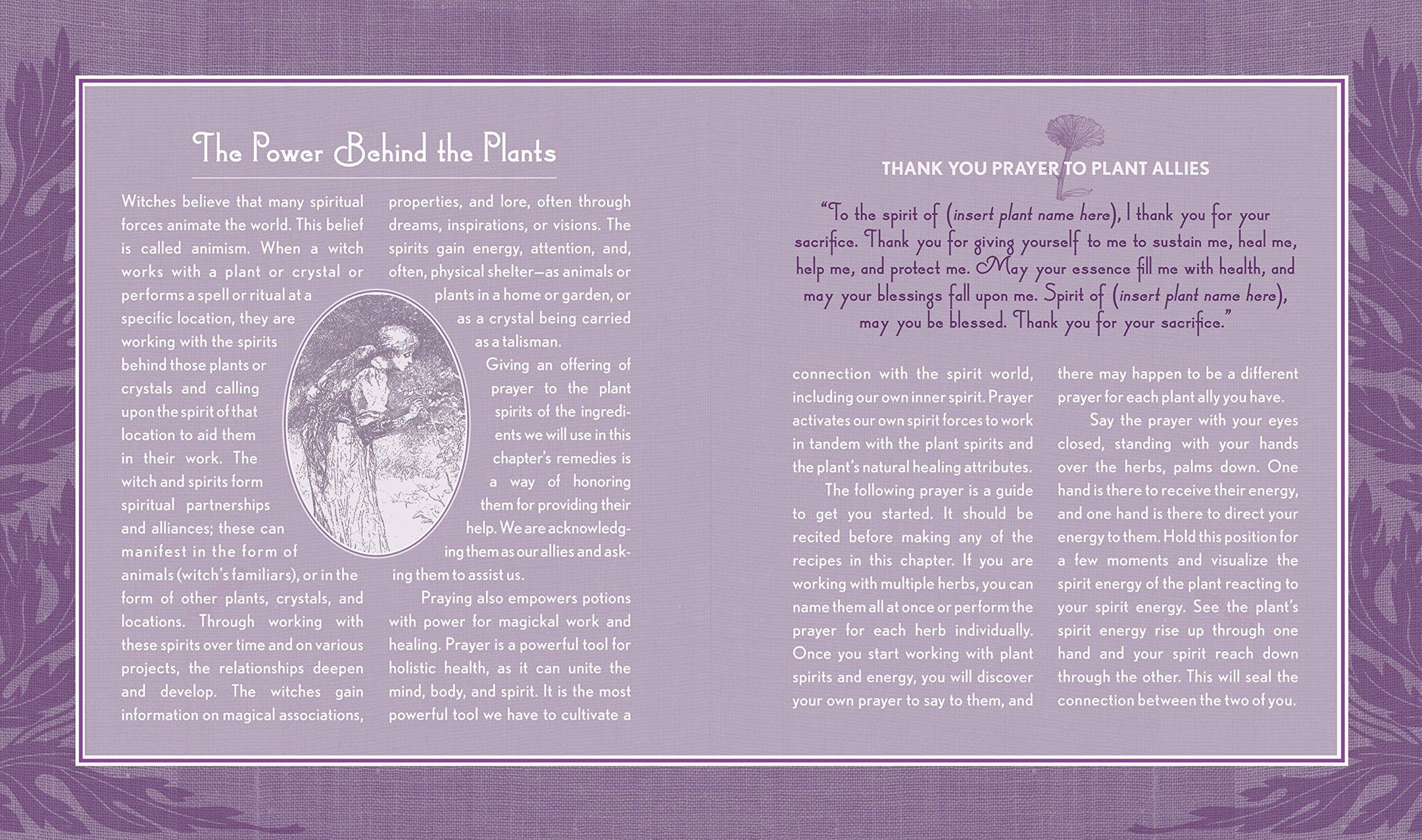 Hachette Book Group - Wholesale Body, Mind & Spirit - Good Witch's Guide by Shawn Robbins10