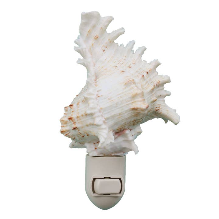 Ramosa Murex Seashell Night Light for wholesale by California Seashell Company