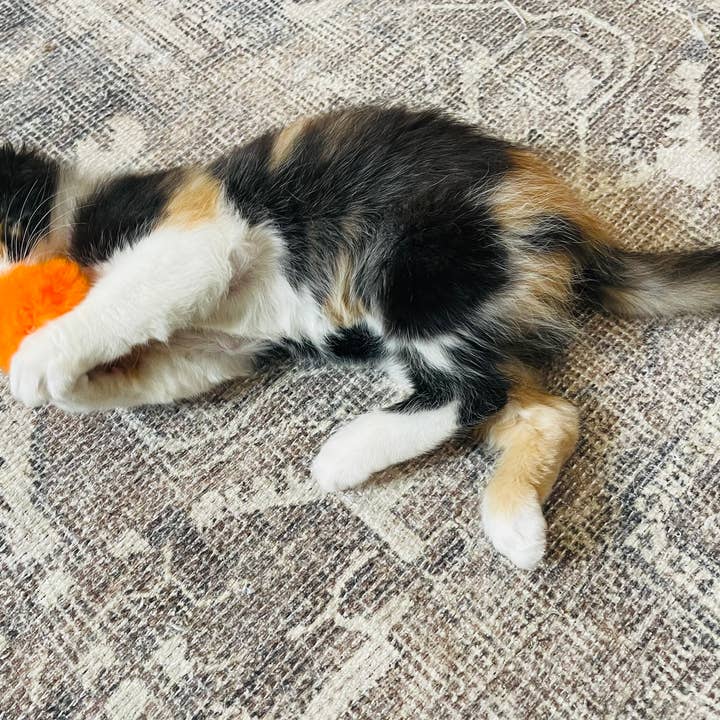 Koira - Wholesale Pet Toy - Cat - Puffy Poof Cat Toy9