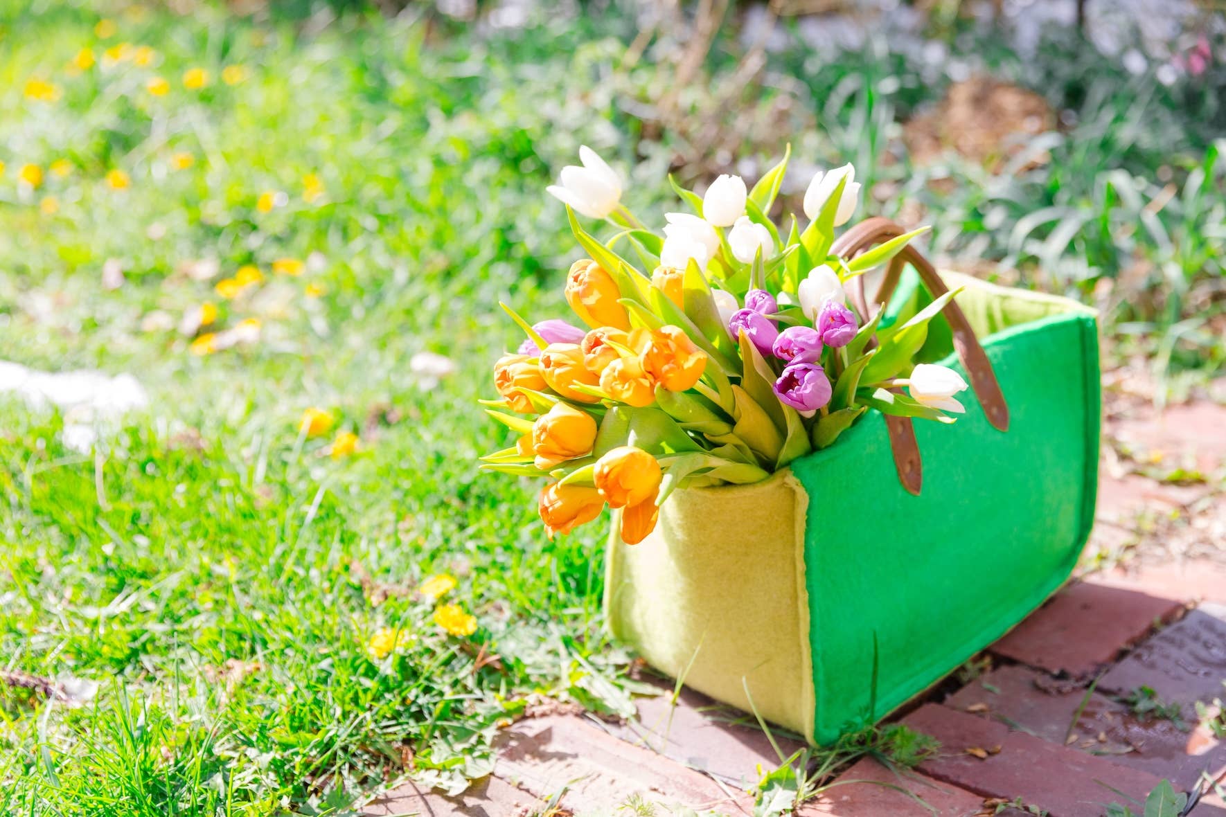 Fibres of Life - Wool & Felt - Wholesale Tote Bag - Women's - The Grab-&-Go Carry All | Felt Wool Tote Bag | Soft Yarn Bag20