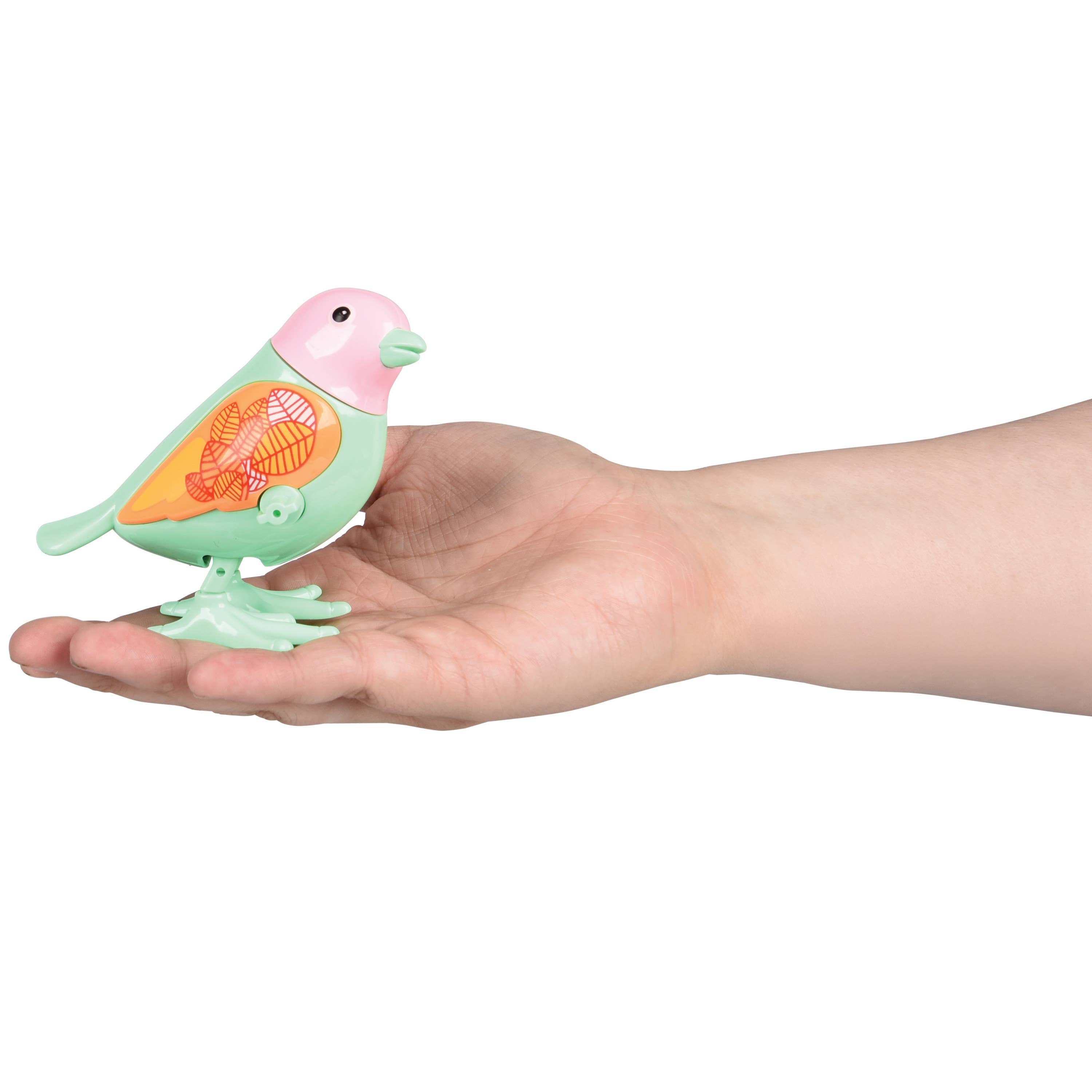 US Toy Company - Wholesale Wind-Up Toy - Kids - Wind Up Birds 12-Unit Display4