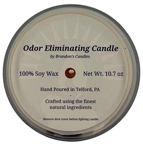Brandon’s Candles, LLC - Wholesale Jar/Filled Candle - Eucalyptus Odor Eliminating Candle1