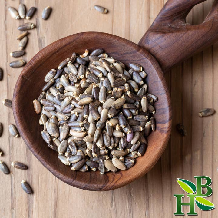 Herb To Body - Vendita all'ingrosso Erbe aromatiche - Semi di cardo mariano in polvere2