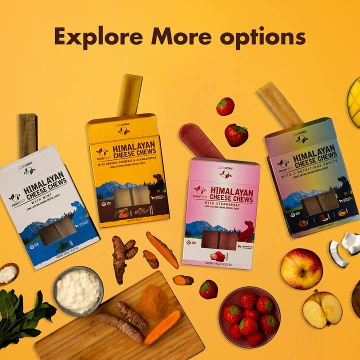 Pawfect Foods - Vente Friandises – chien - Friandises au fromage de l'Himalaya Pawfect avec curcuma et ashwagandha pour chiens|Bâtonnet dentaire 100% naturel|Nettoie les dents|Aide à éliminer la plaque et le tartre|Sans céréales|Mâche longue durée|Lot de 35