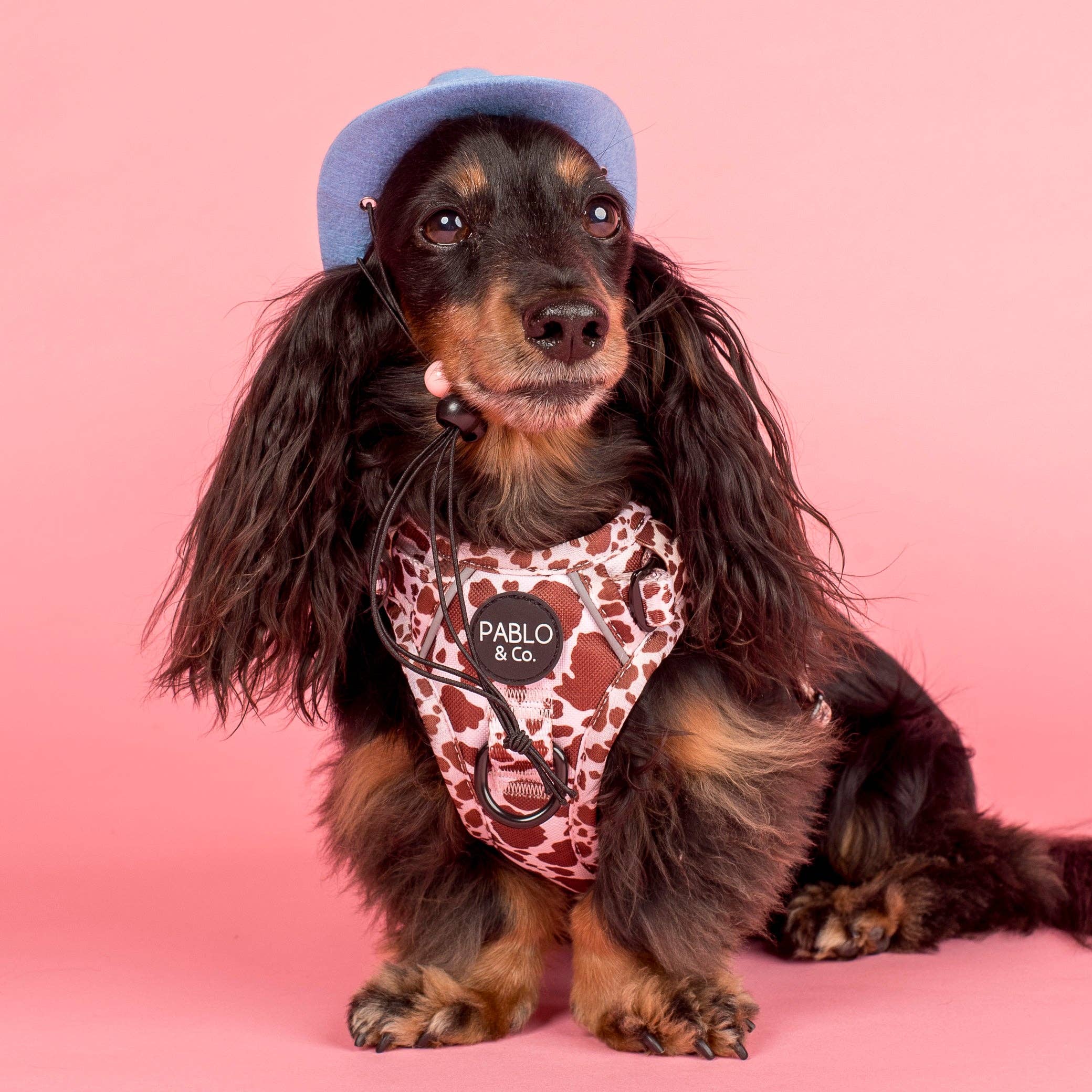 Pablo & Co. Boutique - Vente Chapeau – chien - Chapeau de Cowboy8