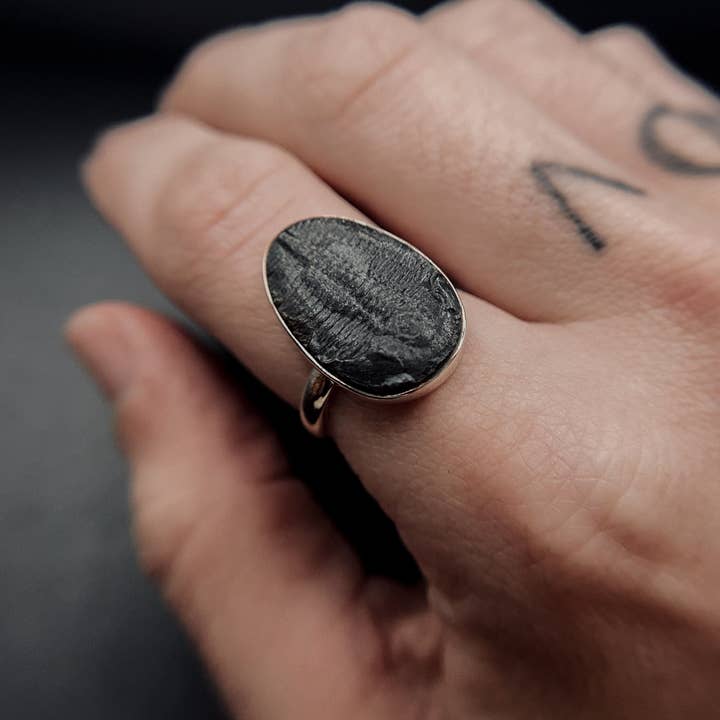 Black Feather Design - Vendita all'ingrosso Anelli cocktail/statement - Anello trilobite, gioielli in vero fossile, in argento 925