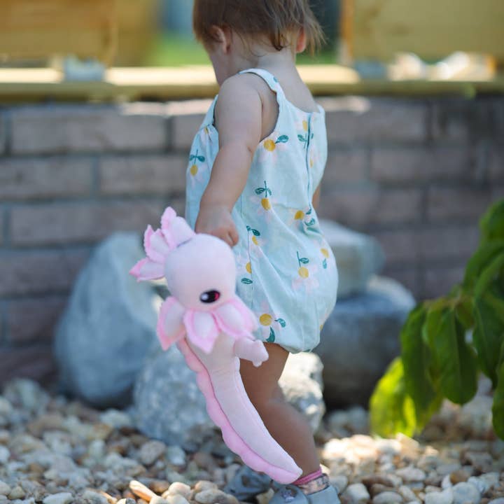 Axol & Friends - Wholesale Stuffed/Plush Toy - Kids & Baby - Mini Realistic Axolotl Plush11