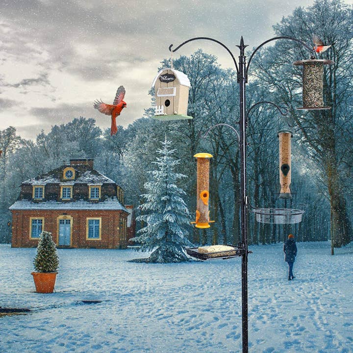 Ashman Online - Wholesale Bird Feeder - Premium Bird Feeding Station with 2 Bird Feeders Included for Outside - Multi Feeder Pole Stand Kit with 4 Hangers, Bird Bath and 5 Prong Base for Attracting Wild Birds - 22 Inch Wide x 92 Inch Tall.3