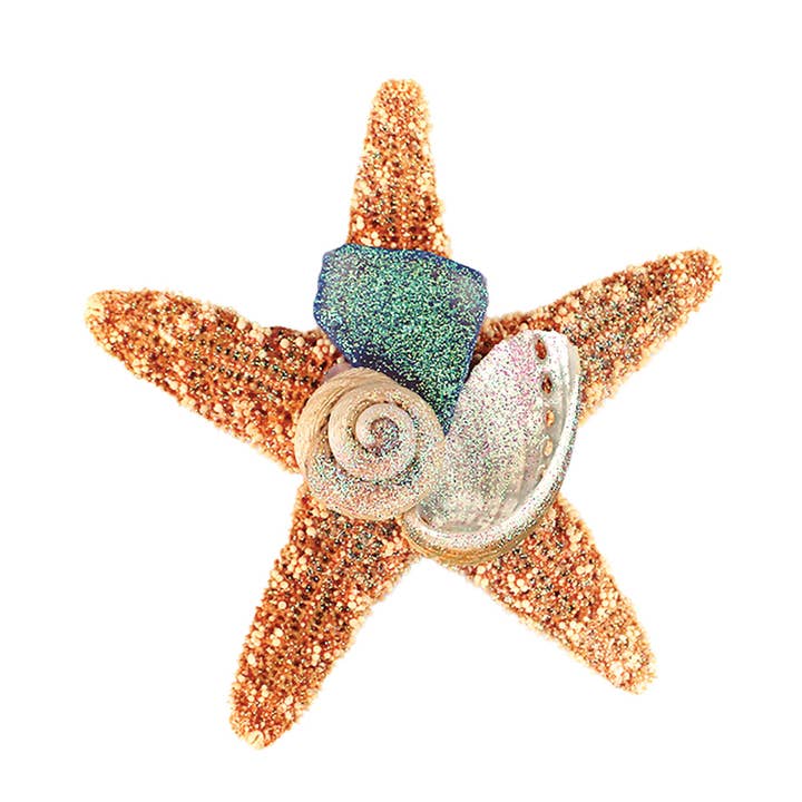 California Seashell Company - Wholesale Magnet - Sea Glass Sugar Starfish Collage Magnet4