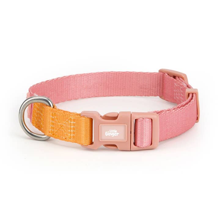 Two-Tone Collar for wholesale by Little Ginger