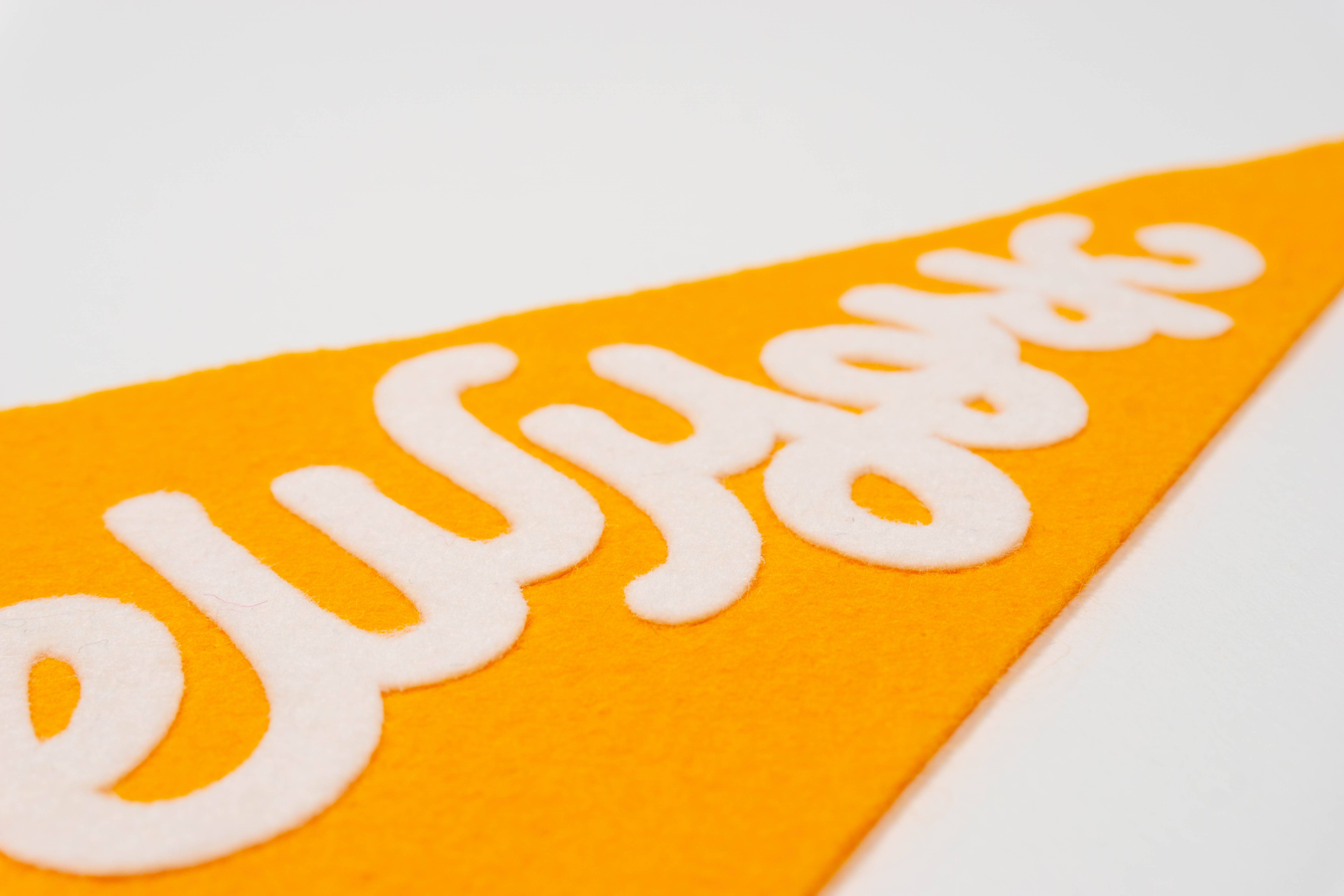 traveldashery - Wholesale Banner - new york pennant25