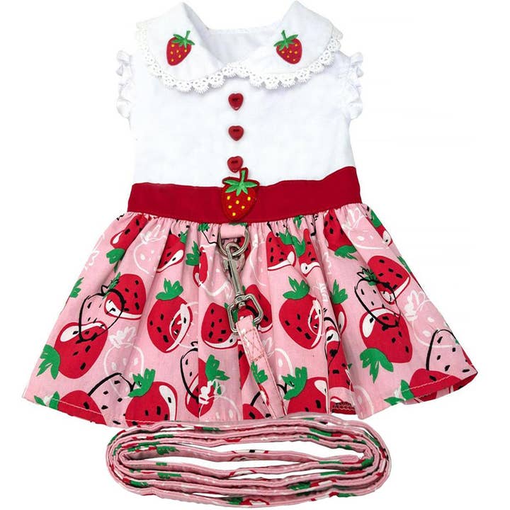 Strawberry Picnic Hundekjole m/matchende snor for engroshandel hos Doggie Design
