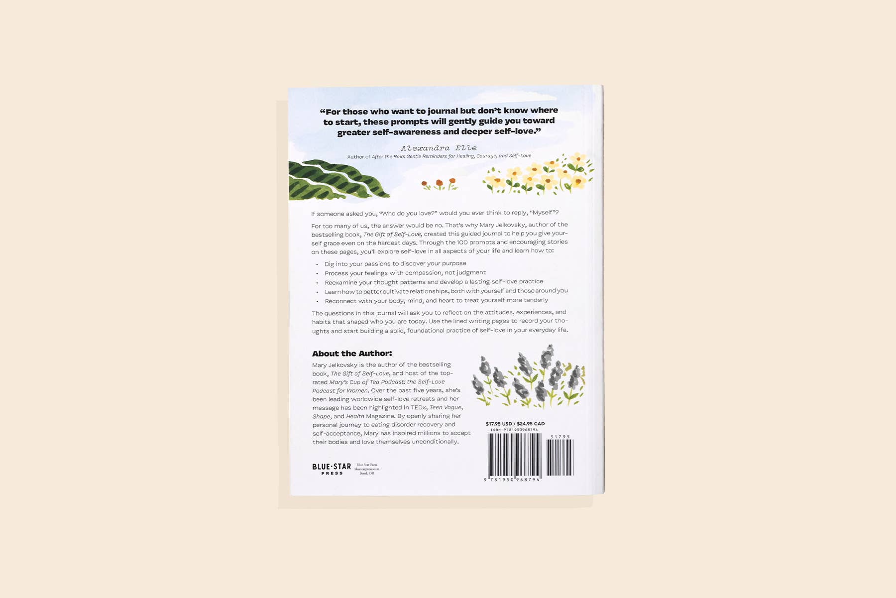 Blue Star Press - Wholesale Journal/Diary - 100 Days of Self-Love: Guided Self Care Journal5