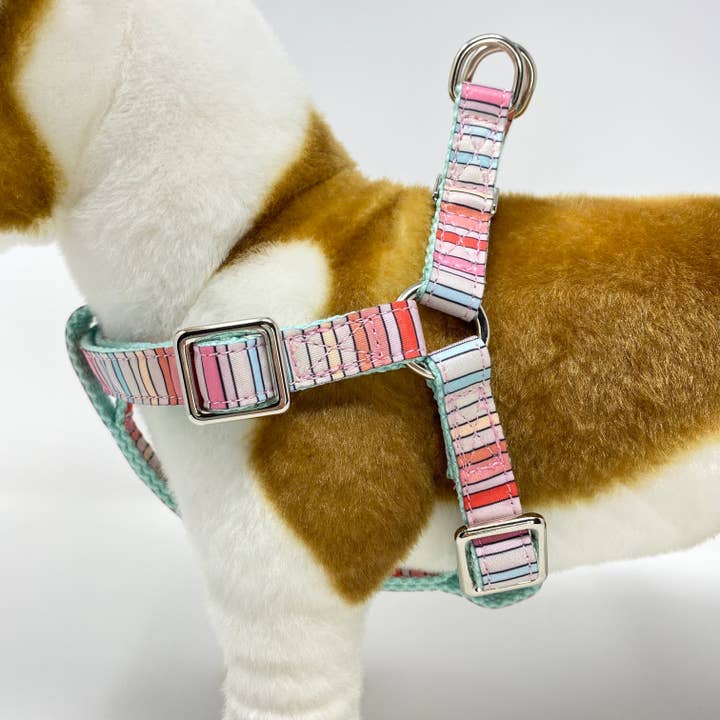 Roxy & Co. Canine Accessories - Wholesale Pet Harness - Dog - BRANDI STRIPE DOG HARNESS3