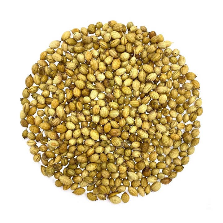 Coriander Seeds (Sabut Dhaniya) for wholesale by Aiva Products