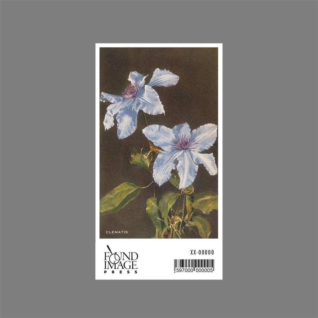 Found Image Press - Wholesale Sticker - Sticker FC-66 Clematis1