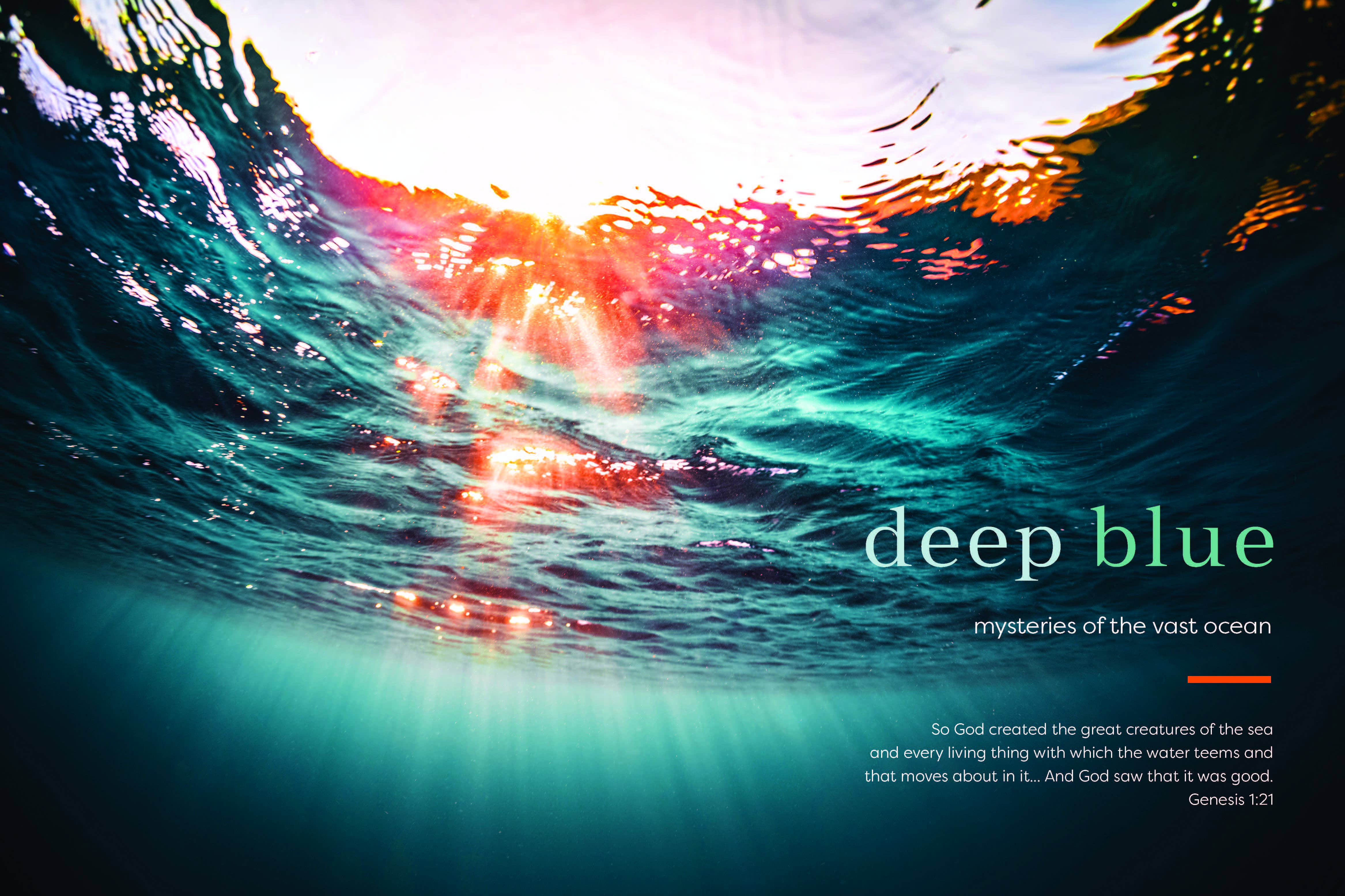 Harvest House Publishers Gift & Specialty Books - Wholesale Religion - By the Sea1