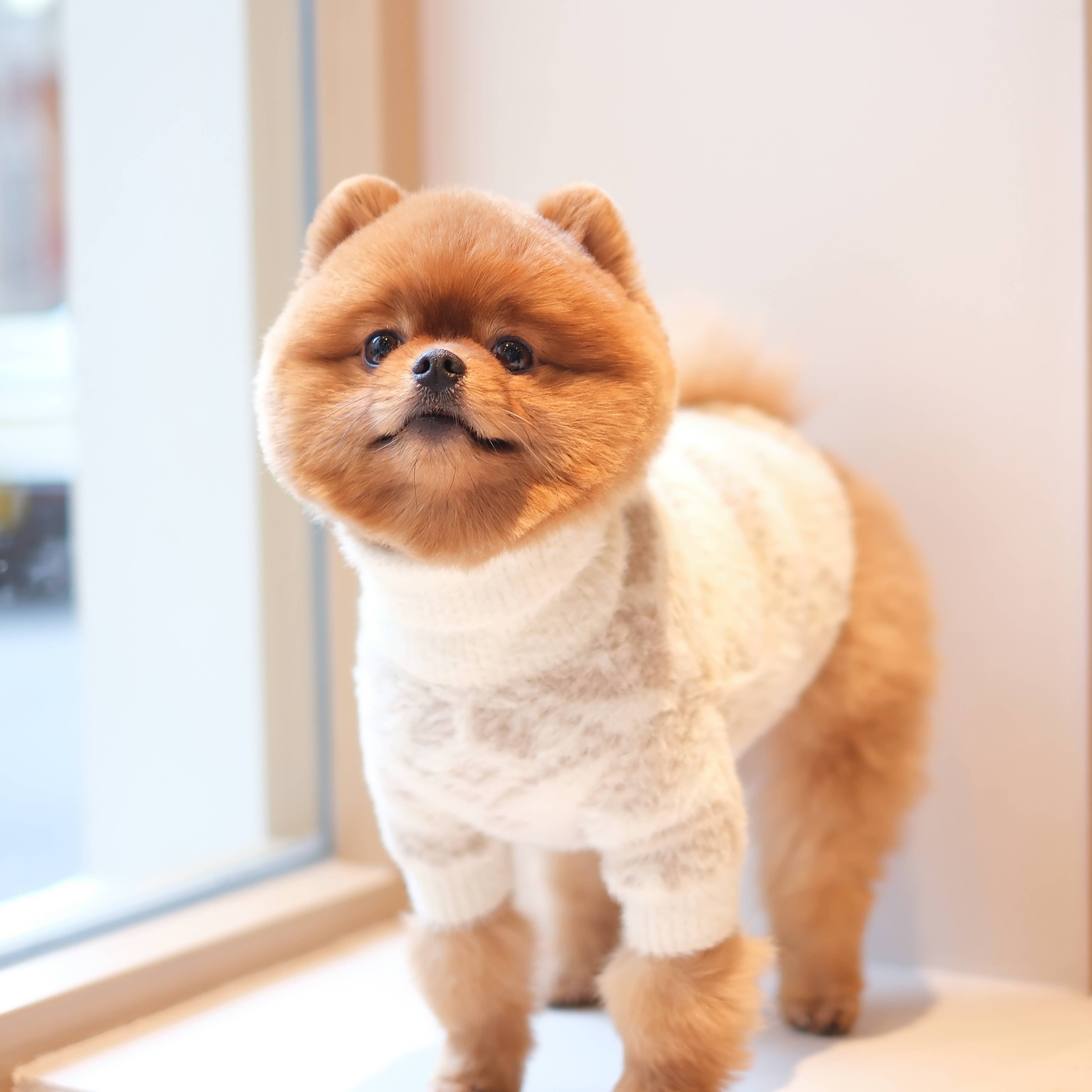 Pups & Bubs - Wholesale Pet Sweater - Dog - Let It Snow Soft Cloud Sweater | For Dogs & Cats4