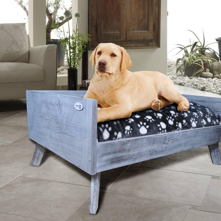 Sassy Paws Raised Wooden Pet Bed with Removable Cushion for wholesale by Iconic Pet