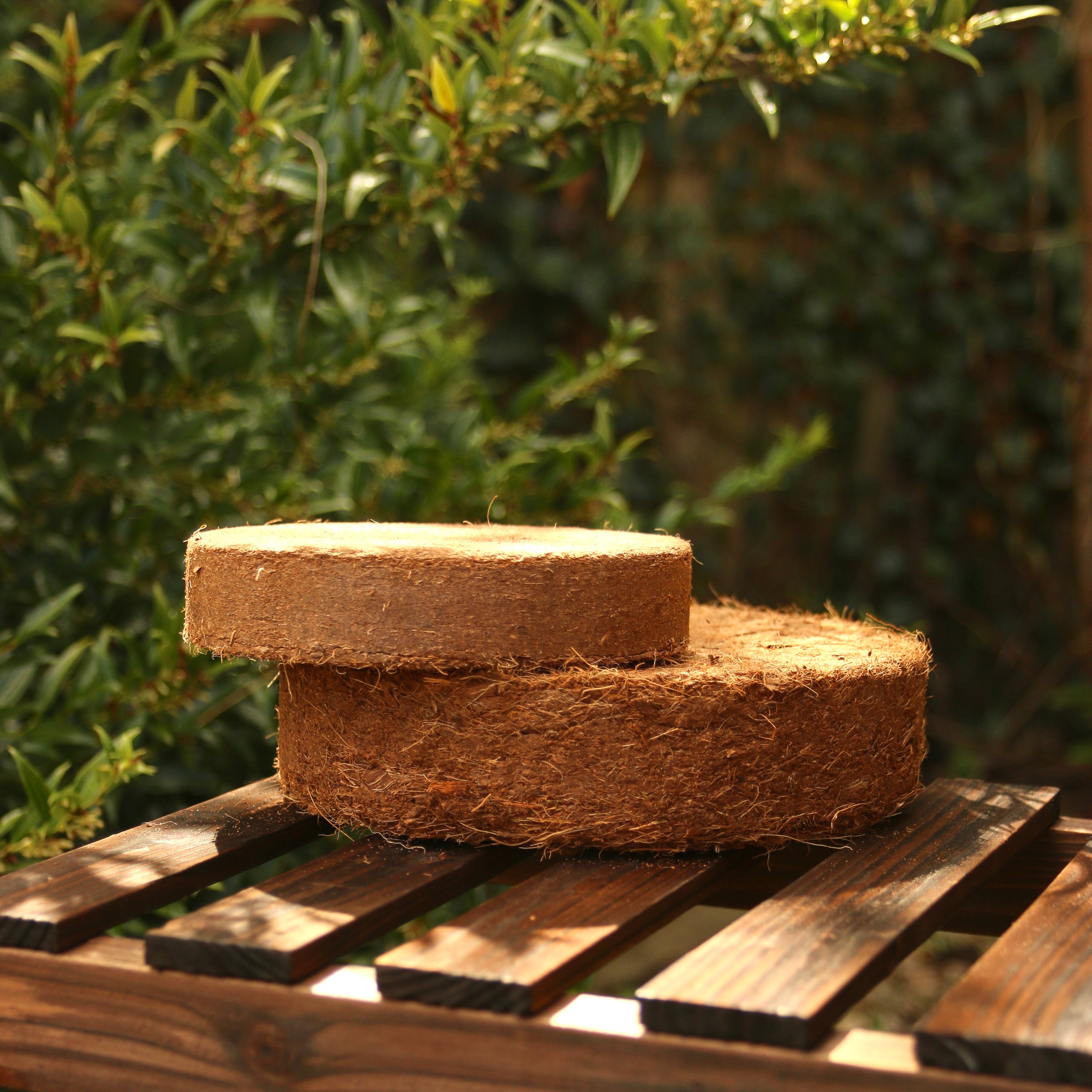 CoirProducts.co.uk of Salike Limited – wholesale Planting/potting soil – Coir discs 75-80mm CoirProducts CPUK9