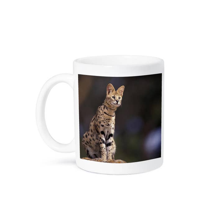 3dRose - Wholesale Coffee Mug - 3dRose, Africa. Serval (Felis serval), wildlife - NA02 SWE0036 - Stuart Westmorland, Mug8