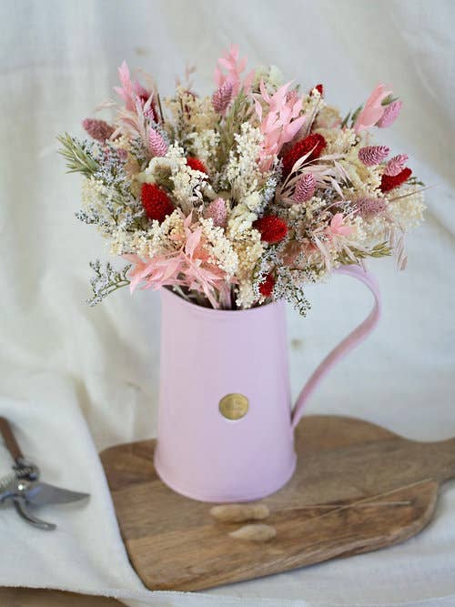 Prima for wholesale by Les Hellébores