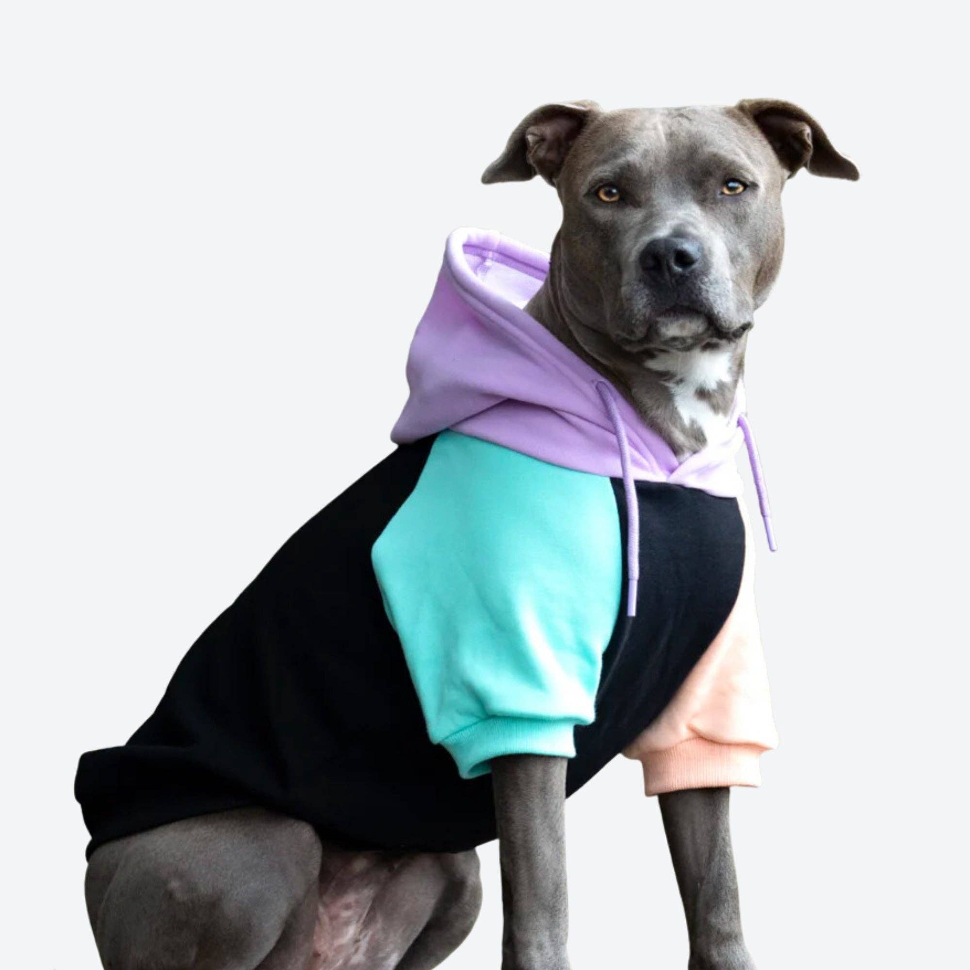 Cheap dog clothes wholesale hotsell