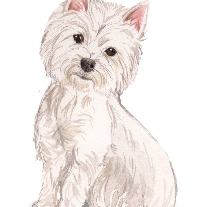 West Highland White Terrier Note Cards for wholesale by Bourbon & Bacon