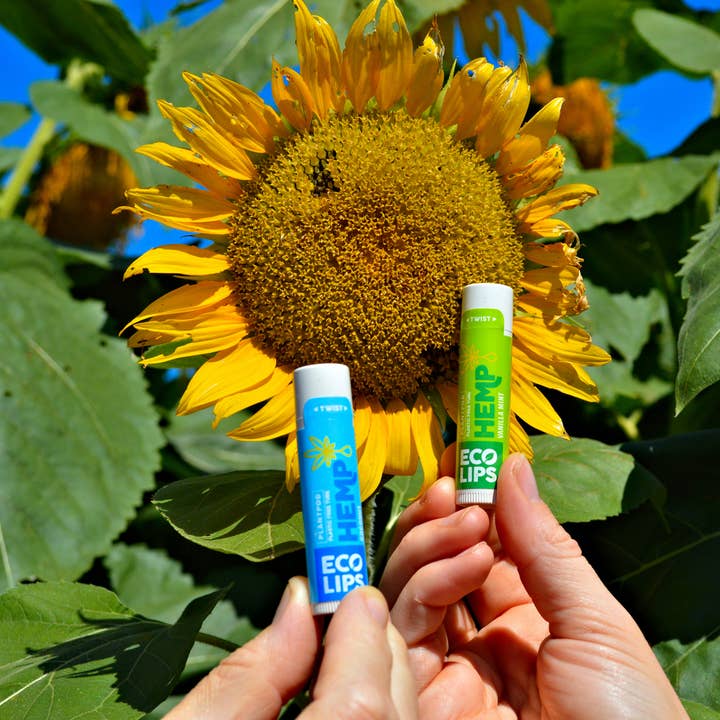Eco Lips & Bug Soother - Vendita all'ingrosso Burro di cacao - Balsamo per labbra alla canapa Plant Pod con display da 24