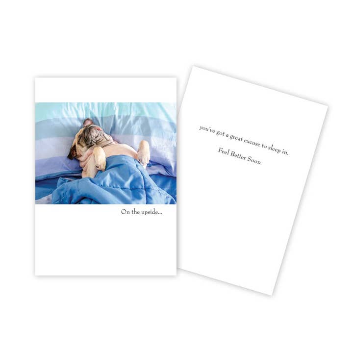 Carte de prompt rétablissement amusante pour chien pour la vente par Sun Day Greetings