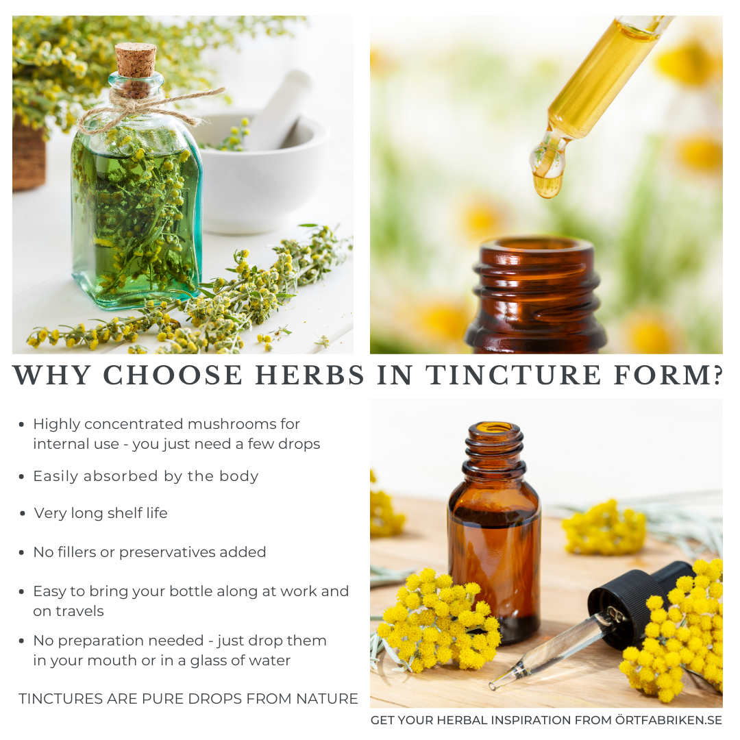 Örtfabriken - Wholesale Oral Supplement/Vitamin - Madame Motherwort Tincture ♡ HandMade in Sweden ♡ 1