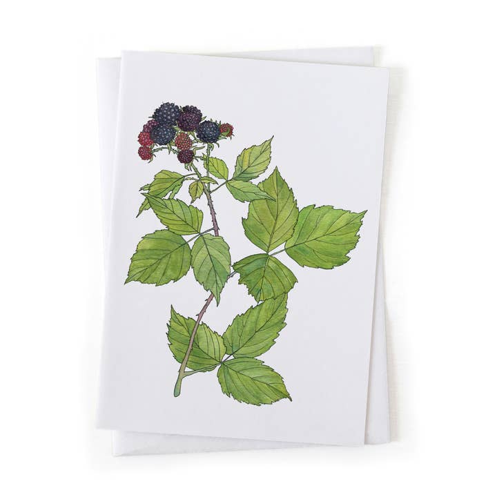 Black Raspberry Wild Berry Foraging Botanical 5x7 Card for wholesale by Wander & Gather