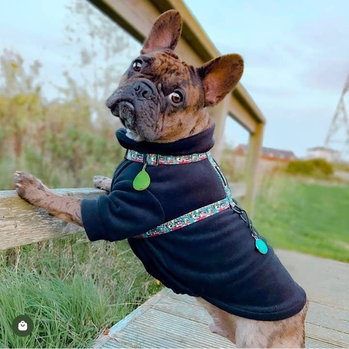 Pile per cani resistente all'acqua nero per la vendita all'ingrosso da parte di Bella Katee Pets