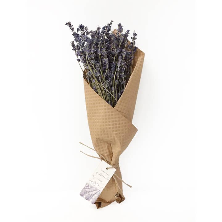 Andaluca - Wholesale Dried/Pressed Flowers - French Lavender Bundle2