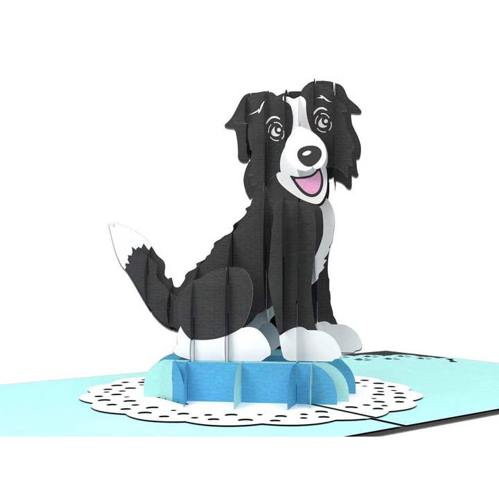 Border Collie Dog - 3D Pop Up Abra Card for wholesale by Abra Cards
