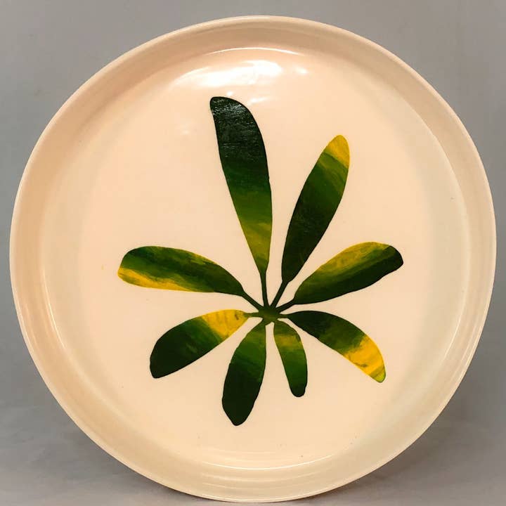 Paraplu Plant Plate voor wholesale door Aaron Swank Ceramics