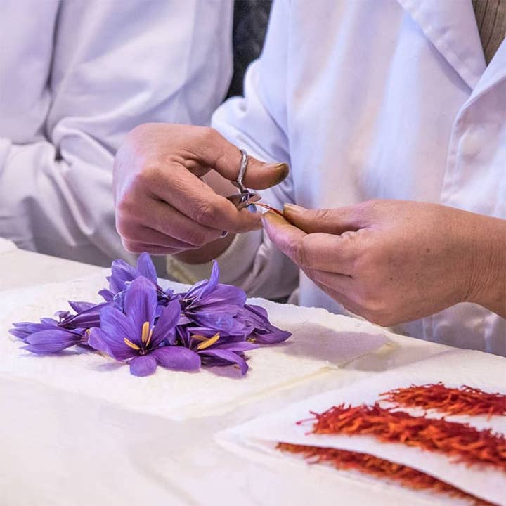 Made in Spain Gourmet - Wholesale Dried Spice - Saffron Coupé Ecological 1G1