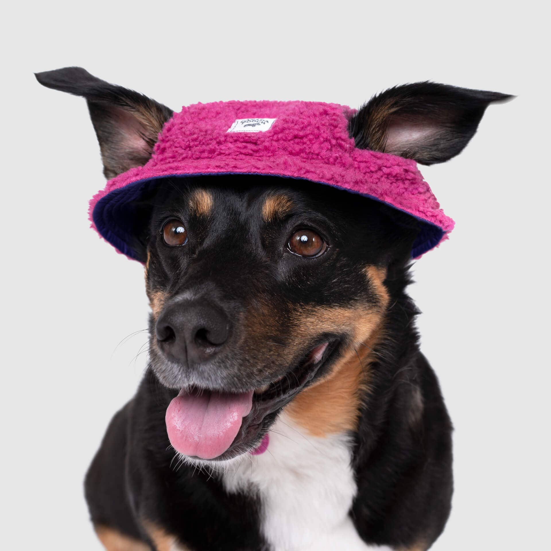 Canada Pooch – Großhandel Haustiermütze – Hund – Cool Factor Bucket Hat- Hundemütze1