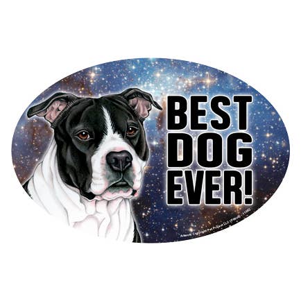 Pitbull (black & white) (Best Dog Ever!) for wholesale by SJT Enterprises, Inc.