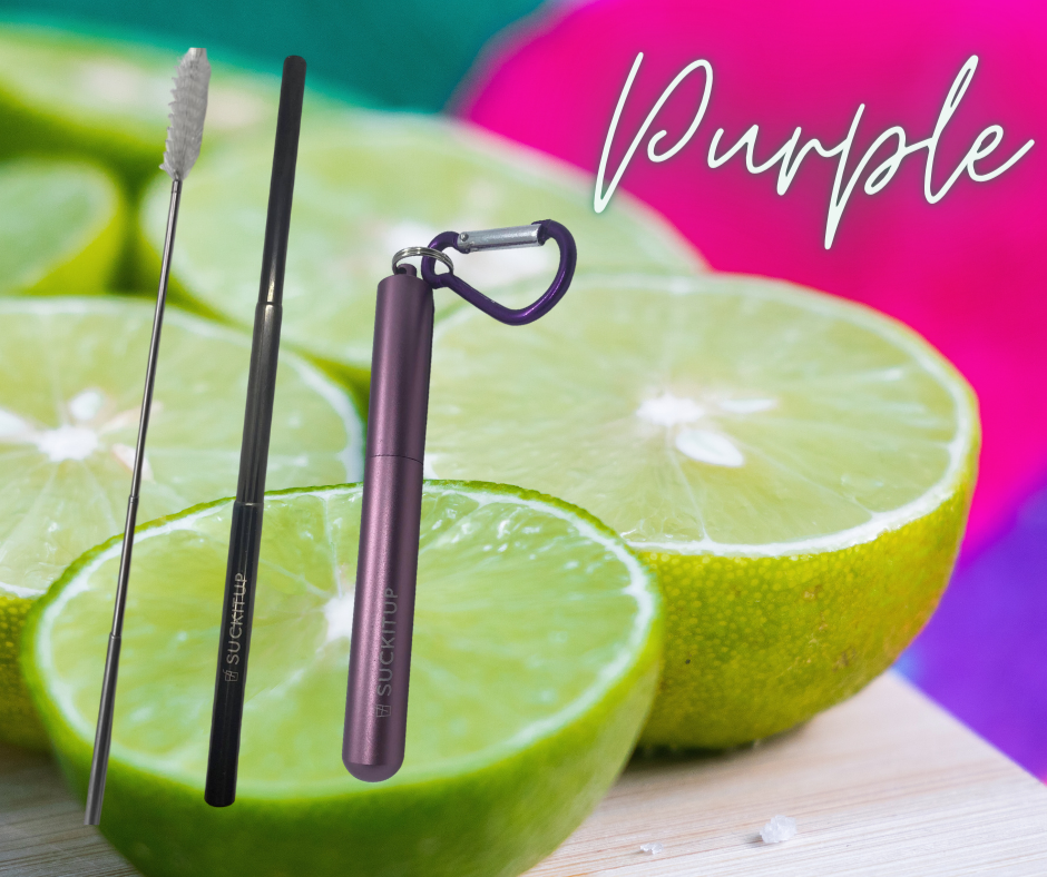 Suck It Up Straws - Vente Paille - Pailles métalliques télescopiques avec étui pour porte-clés et brosse de nettoyage53