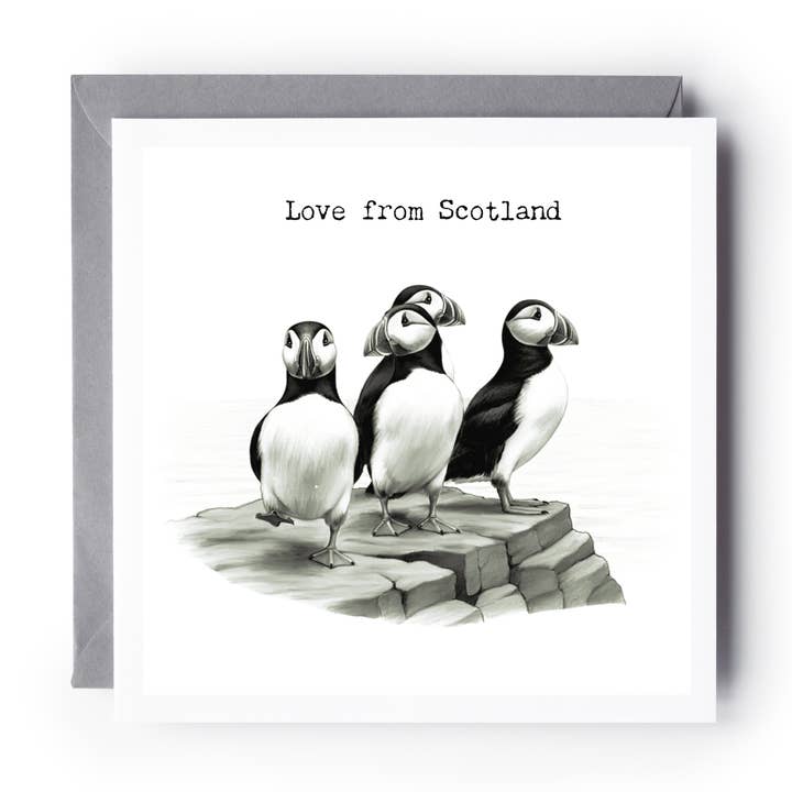 Carte de vœux Puffin Rocks – Illustration de macareux dessinée à la main pour la vente par Libra Fine Arts